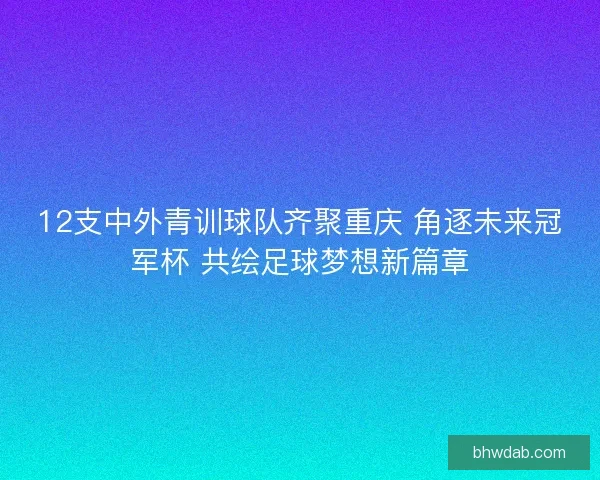 12支中外青训球队齐聚重庆 角逐未来冠军杯 共绘足球梦想新篇章 12支中外青训球队齐聚重庆 角逐未来冠军杯 共绘足球梦想新篇章