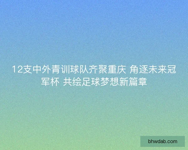 12支中外青训球队齐聚重庆 角逐未来冠军杯 共绘足球梦想新篇章